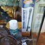 aqualantis bow front aquarium 200lt Image 4
