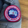 canada goose MacMillan Image 4