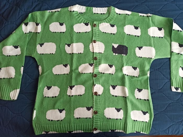 Jumper /cardigan