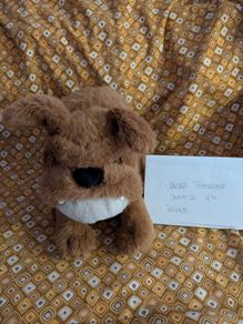Jellycat Derreck Dog BNWT