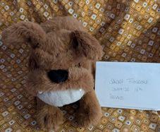 Jellycat Derreck Dog BNWT