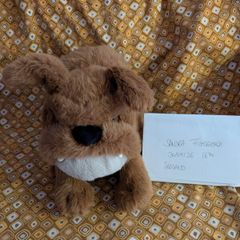 Jellycat Derreck Dog BNWT