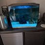 fluval flex fish tank 34L Image 6