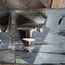 Hinges and taps Image 4
