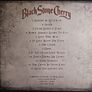 Black Stone Cherry CD Boxset  - The Human Condition Image 2
