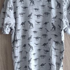 Dinosaur t shirt size 134 cm