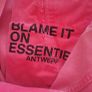 Essential Antwerp Hot Pink  High Waisted Jeans Image 5