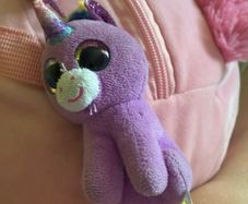 teddy bag