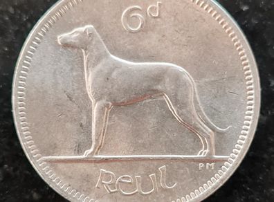 Excellent Ireland 1966  6d six Pence coin