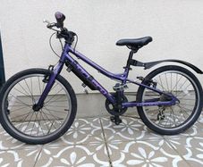 Carrera Saruna Junior Bike 20 inch