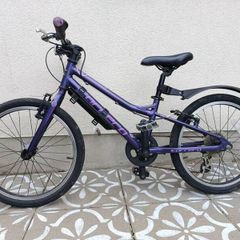 Carrera Saruna Junior Bike 20 inch