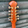 Stefan Sobell bouzouki cittern Image 5
