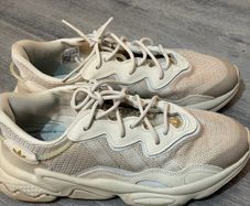 trainers
