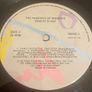 Robert Plant The Principle Of Moments Rock Vinyl Irish Pressing Image 2