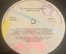 Robert Plant The Principle Of Moments Rock Vinyl Irish Pressing