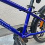 Frog Bike Image 3
