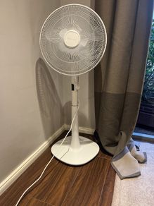 fan