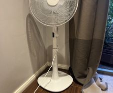 fan