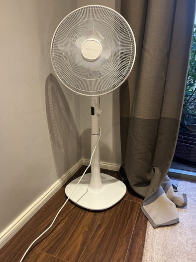 fan