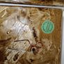 Vintage Irish Pottery Wall Plaques, set of 3 Image 6