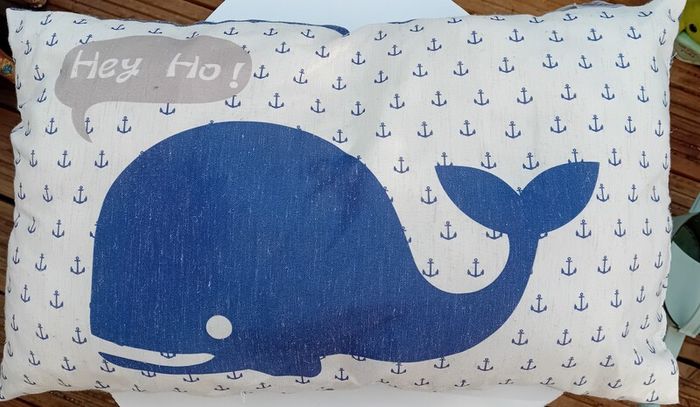 Two Children's Pilliow Cases and Small Pillow