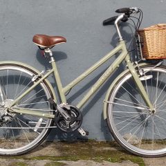 Trek Bicycle