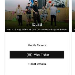 2 Tickets for Idles in Belfast