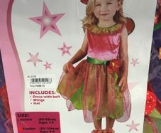 Strawberry Fairy