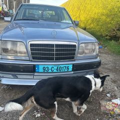classic car
