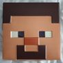 Minecraft Steve Deluxe Costume Image 4