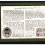 2005 Ireland Central Bank Uncirculated Coin Set Heywood Gardens, Co. Laois. Ideal Birthday Gift. Image 3
