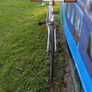 Fixie bike Giant Bowery 72 limited edition, track, pista. Image 10