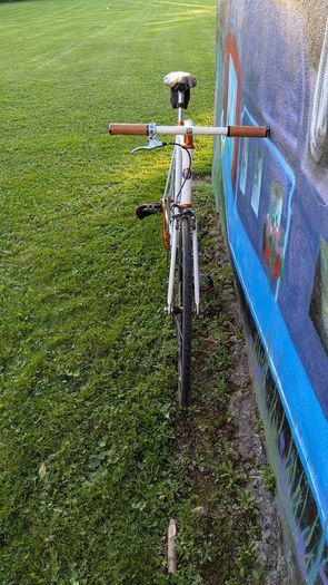 Fixie bike Giant Bowery 72 limited edition, track, pista.