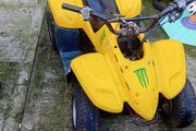 Kids 50cc quad