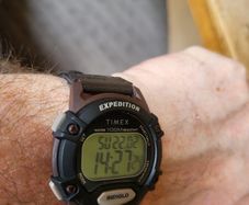 Timex Expedition