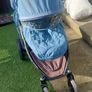 double buggy Image 2