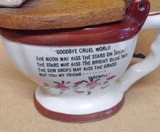 Vintage ( Goodbye Cruel World ) Ceramic Toilet with Wooden Lid