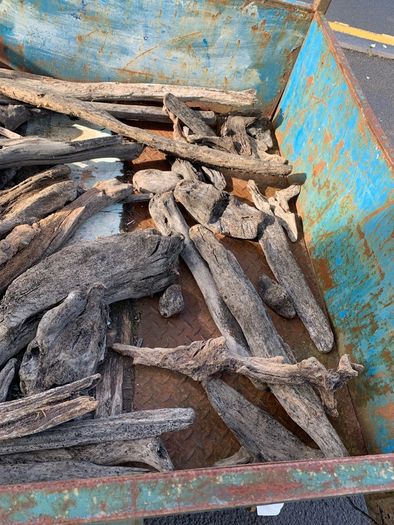 Substantial Collection of Old Bog Oak. Delivery by van can be arranged.