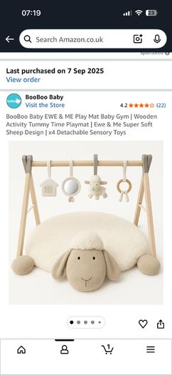 Wooden play gym