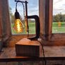 Lamp Oak Image 2