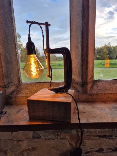 Lamp Oak