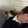 kittens to adopt Image 6
