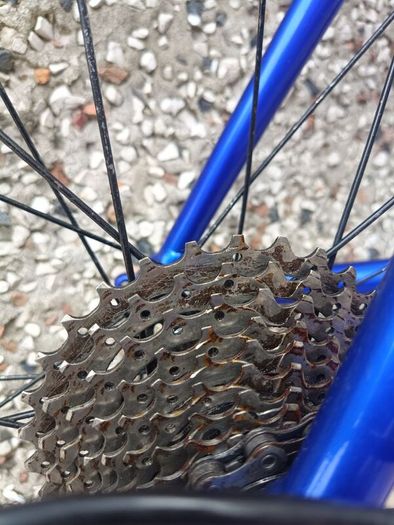 Ribble Audax 7005 Medium