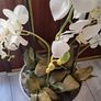 Artificial orchid plant in stone bowl Image 5