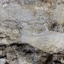 Pit silage Image 2