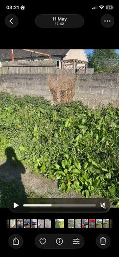 Gardening and maintenance and diy