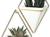 Trigg Hanging Planter Vase & Geometric Wall Decor Concrete Container - Great For Succulent Plants, Air Plant, Mini Cactus, Faux Plants and More, Set of 2, Small, White/Brass