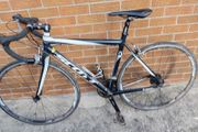adults bike