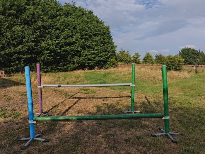 Horse PVC Training set