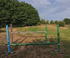 Horse PVC Training set